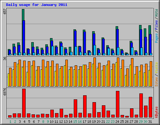 Daily usage for January 2011