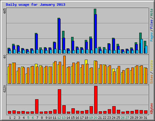 Daily usage for January 2013