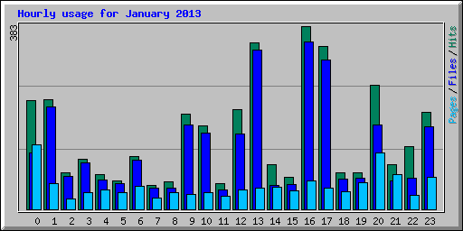 Hourly usage for January 2013