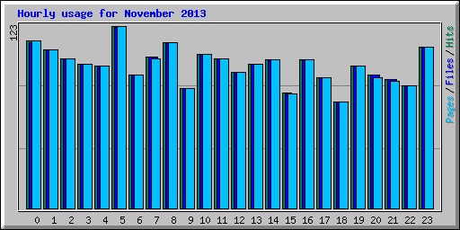 Hourly usage for November 2013