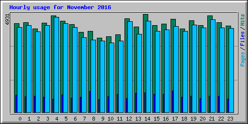 Hourly usage for November 2016