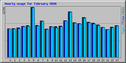 Hourly usage for February 2020